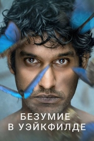 Безумие в Уэйкфилде (2021) Безумие в Уэйкфилде
