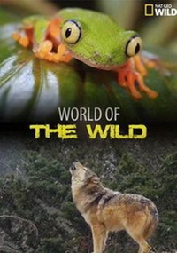 World of the Wild