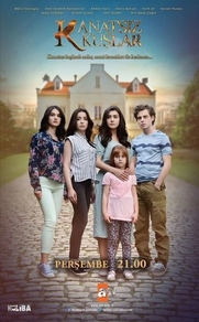 Птицы без крыльев (2017) Птицы без крыльев