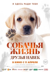 Собачья жизнь: Друзья навек (2023) Собачья жизнь: Друзья навек