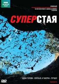 BBC: Суперстая (2009) BBC: Суперстая