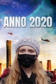 Год 2020 (2024) Год 2020