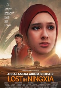 Ассаламу алейкум, Пекин 2: Заблудившиеся в Нинся