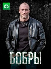 Бобры Бобры