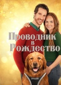 Проводник в Рождество Проводник в Рождество
