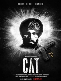 CAT (2022) CAT