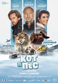 Кот и пёс Кот и пёс