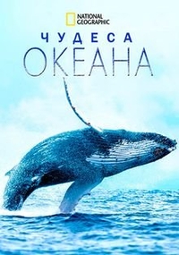 Чудеса океана (2019) Чудеса океана