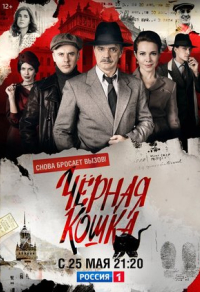 Черная кошка