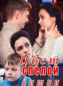 Цвет спелой вишни